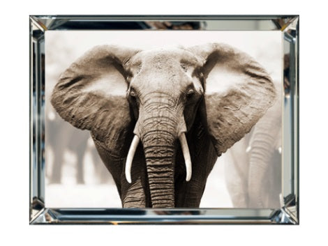 Bilde Elefant Speilramme 80 cm