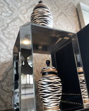 Jar Zebra