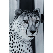Glass Bilde Gepard 150 cm