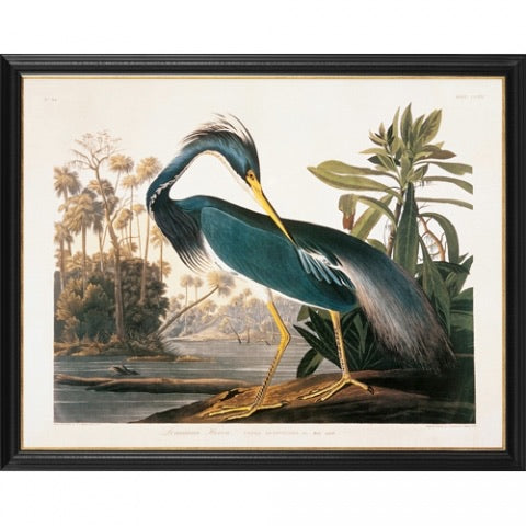 Bilde Louisiana Heron 88 cm