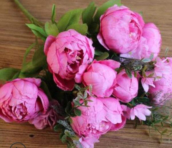 Peoner Rosa 8 stk. 47 cm