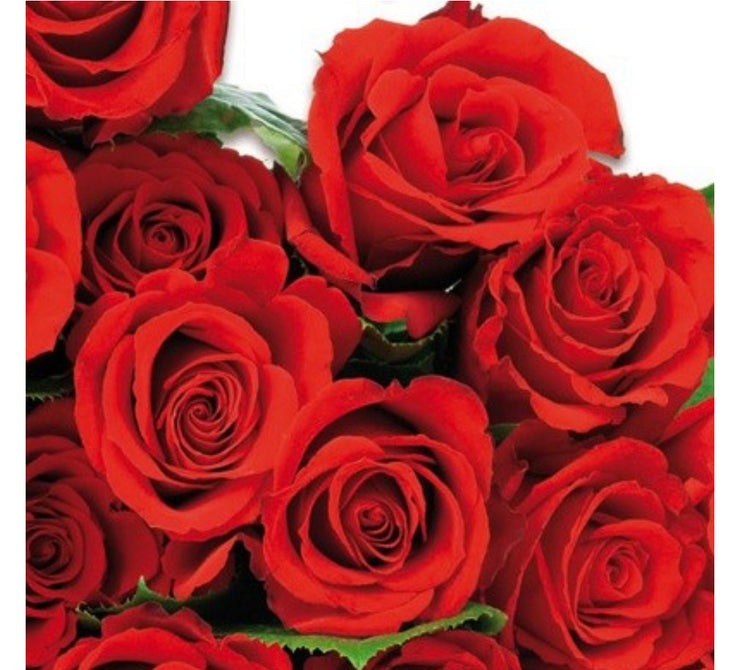Roser Røde - 42 cm