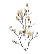 Magnolia Hvit 110 cm